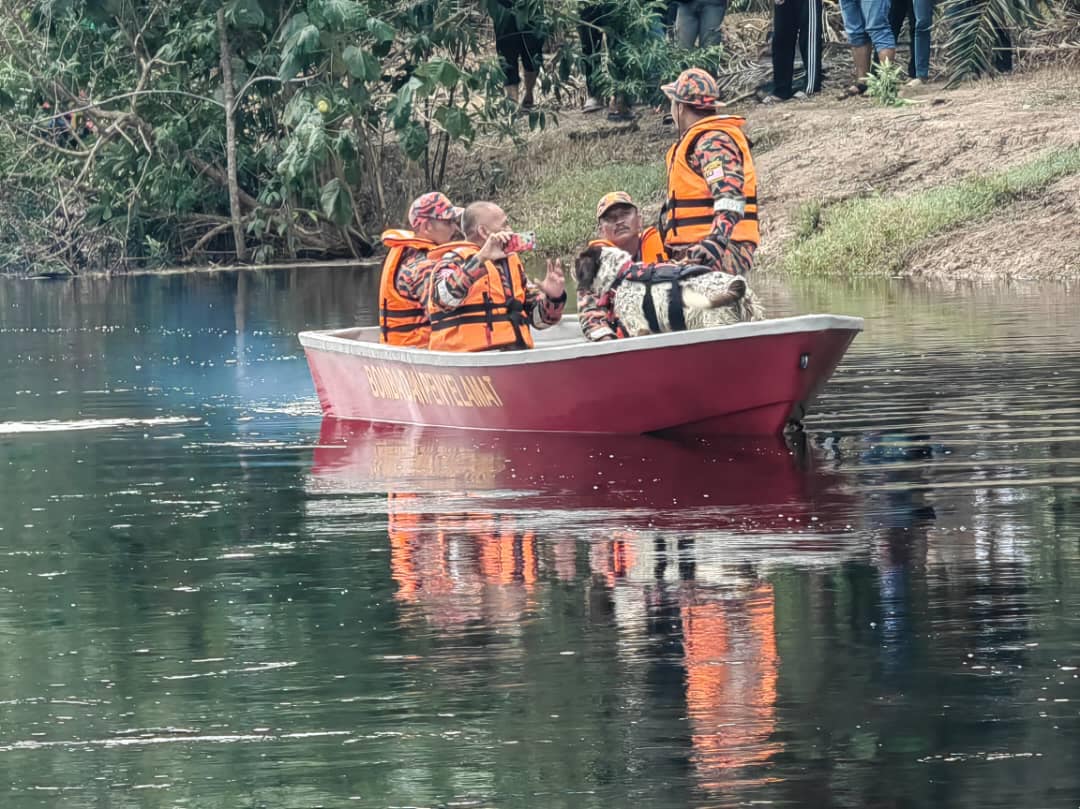 Lemas Muar 1