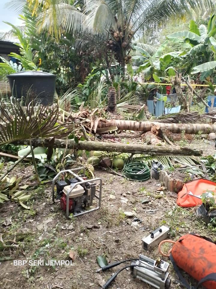 Maut dihempap pokok kelapa 1