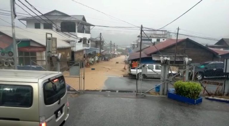 Young Syefura gesa siasat punca banjir di Bukit Tinggi