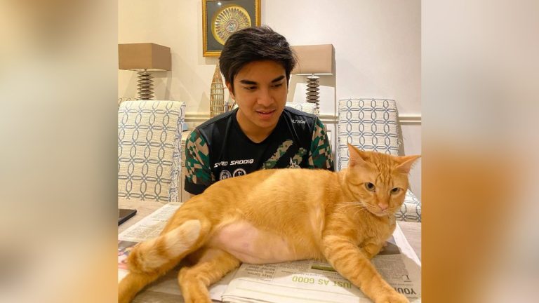 ‘Toby’ kucing kesayangan Syed Saddiq mati mengejut
